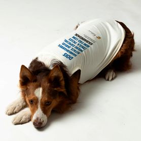 Pet_Branco_E2