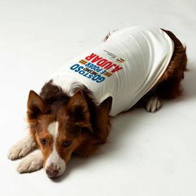 Pet_Branco_E4