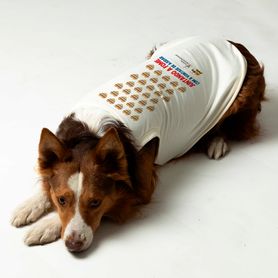 Pet_Branco_E6