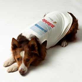 Pet_Branco_E7