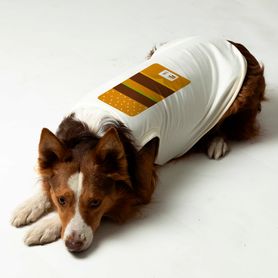 Pet_Branco_E8